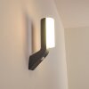 Porus Buiten muurverlichting LED Antraciet, 1-licht, Bewegingsmelder