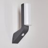 Porus Buiten muurverlichting LED Antraciet, 1-licht, Bewegingsmelder