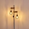 Barbengo Staande lamp Hout licht, Zwart, 2-lichts