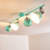 Borik Plafondlamp Groen, Wit, 4-lichts