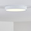 Broglen Plafondlamp LED Wit, 1-licht