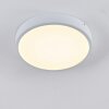 Broglen Plafondlamp LED Wit, 1-licht
