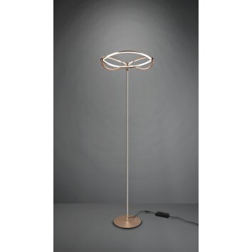 Trio Charivari Staande lamp LED Messing, 1-licht