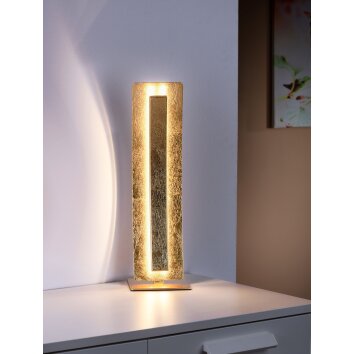 Paul Neuhaus NEVIS Tafellamp LED Goud, 1-licht