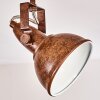 Tina Plafondlamp Roest, 2-lichts