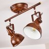 Tina Plafondlamp Roest, 2-lichts
