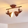 Tina Plafondlamp Roest, 2-lichts