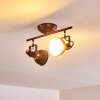 Tina Plafondlamp Roest, 2-lichts