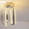 Sepino Plafondlamp LED Chroom, 1-licht