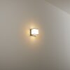 Buckau Buiten muurverlichting LED Antraciet, Wit, 1-licht