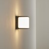 Buckau Buiten muurverlichting LED Antraciet, Wit, 1-licht