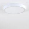 Broglen Plafondlamp LED Wit, 1-licht