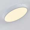 Broglen Plafondlamp LED Wit, 1-licht
