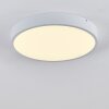 Broglen Plafondlamp LED Wit, 1-licht