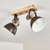Orny Plafondlamp Antraciet, Hout licht, 2-lichts