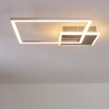 Chilkat Plafondlamp LED Nikkel mat, 1-licht