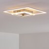 Chilkat Plafondlamp LED Nikkel mat, 1-licht