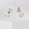 Barbacena Plafondlamp Wit, 2-lichts