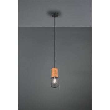 Trio Tosh Hanglamp LED Zwart, 1-licht
