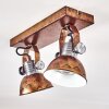 Gudo Plafondlamp Bruin, Brons, 2-lichts