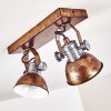 Gudo Plafondlamp Bruin, Brons, 2-lichts