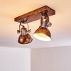 Gudo Plafondlamp Bruin, Brons, 2-lichts