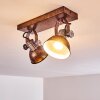 Gudo Plafondlamp Bruin, Brons, 2-lichts