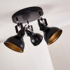 Tina Plafondlamp Zwart, 3-lichts