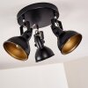 Tina Plafondlamp Zwart, 3-lichts