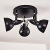 Tina Plafondlamp Zwart, 3-lichts