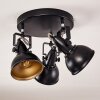 Tina Plafondlamp Zwart, 3-lichts