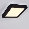 Siguna Plafondlamp LED Wit, 1-licht