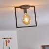 Guinan Plafondlamp Grijs, Zwart, 1-licht