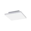 Paul Neuhaus Q-FRAMELESS Paneel LED Wit, 1-licht, Afstandsbediening, Kleurwisselaar