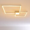 Narpes Plafondlamp LED Nikkel mat, 1-licht