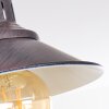 Nibyn Plafondlamp Bruin, 2-lichts