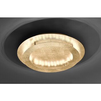 Paul Neuhaus NEVIS Plafondlamp LED Goud, 4-lichts