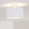 Baraboo Plafondlamp LED Nikkel mat, 2-lichts