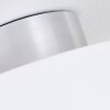 Baraboo Plafondlamp LED Nikkel mat, 2-lichts