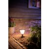 Philips Hue Ambiance White & Color Econic Sokkellamp LED Zwart, 1-licht, Kleurwisselaar