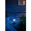 Philips Hue Ambiance White & Color Econic Sokkellamp LED Zwart, 1-licht, Kleurwisselaar