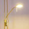 Rom Uplighter LED Messing, 2-lichts