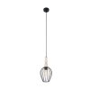 Eglo NORHAM Hanger Zwart, 1-licht