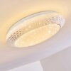 Burton Plafondlamp LED Wit, 1-licht