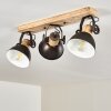 Orny Plafondlamp Antraciet, Hout licht, 3-lichts
