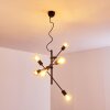 Coppet Hanger Zwart-Goud, 6-lichts