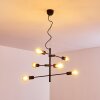 Coppet Hanger Zwart-Goud, 6-lichts