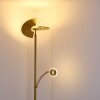 Cazis Staande lamp LED Messing, 1-licht