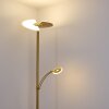 Cazis Staande lamp LED Messing, 1-licht