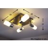 Trio CLAPTON Plafondlamp LED Aluminium, Chroom, roestvrij staal, 4-lichts